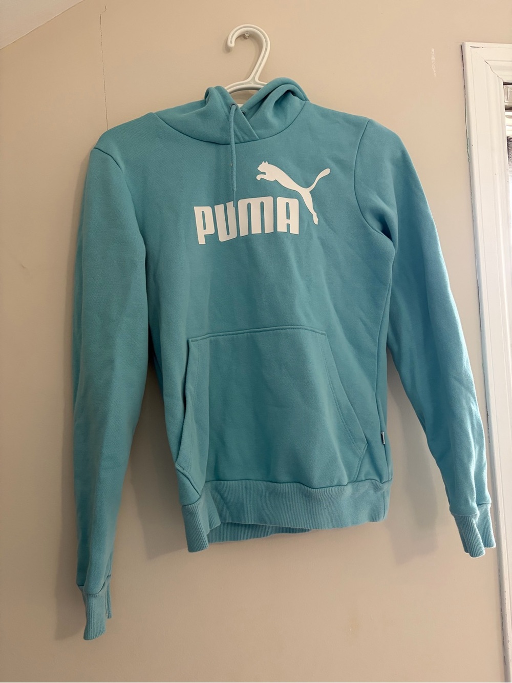 Puma blue Pullover Hoodie with Logo Trim